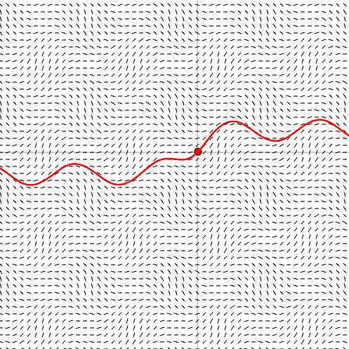 Differential Equation Visualizer